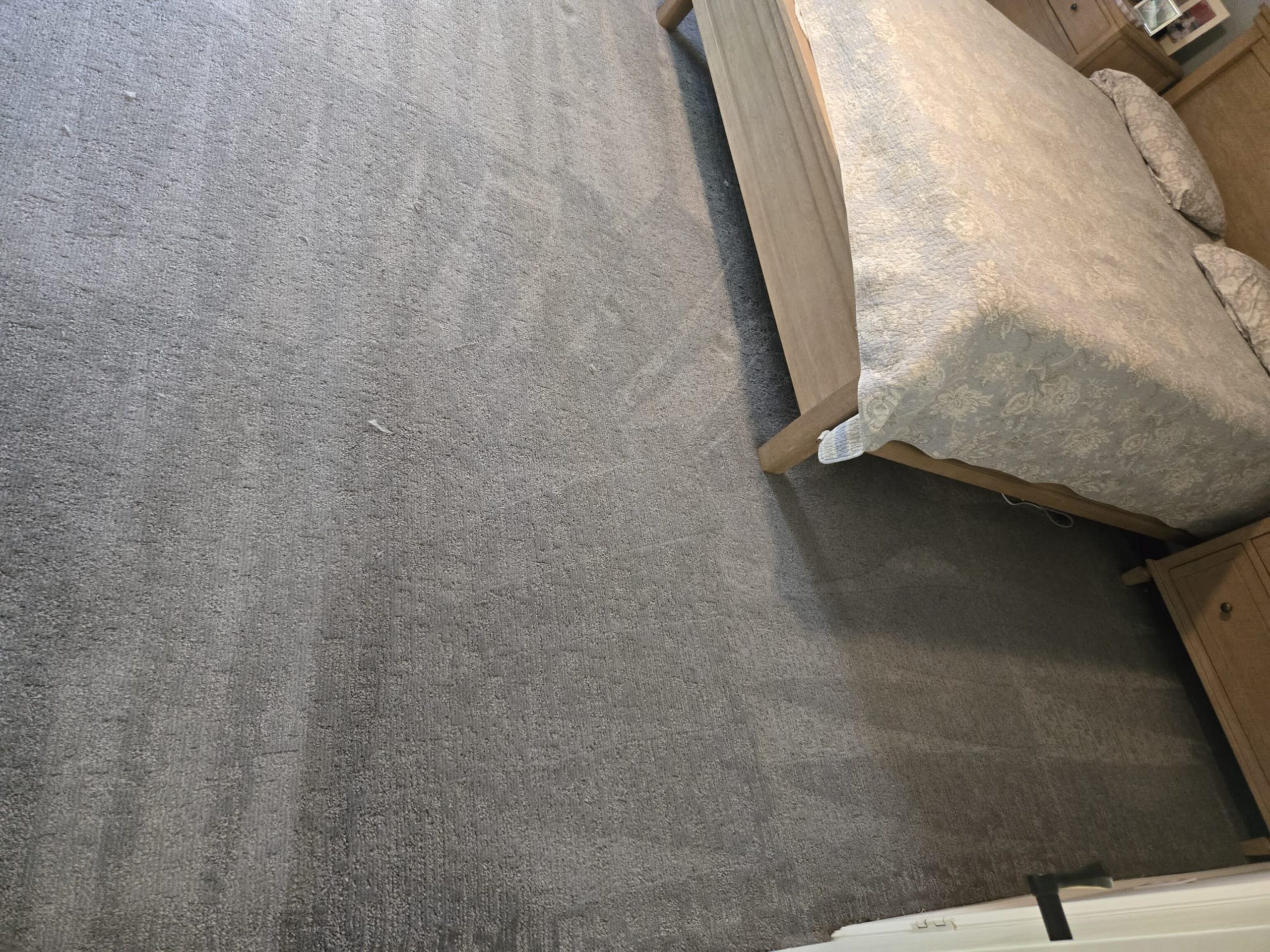 Neon Carpet & Upholstery